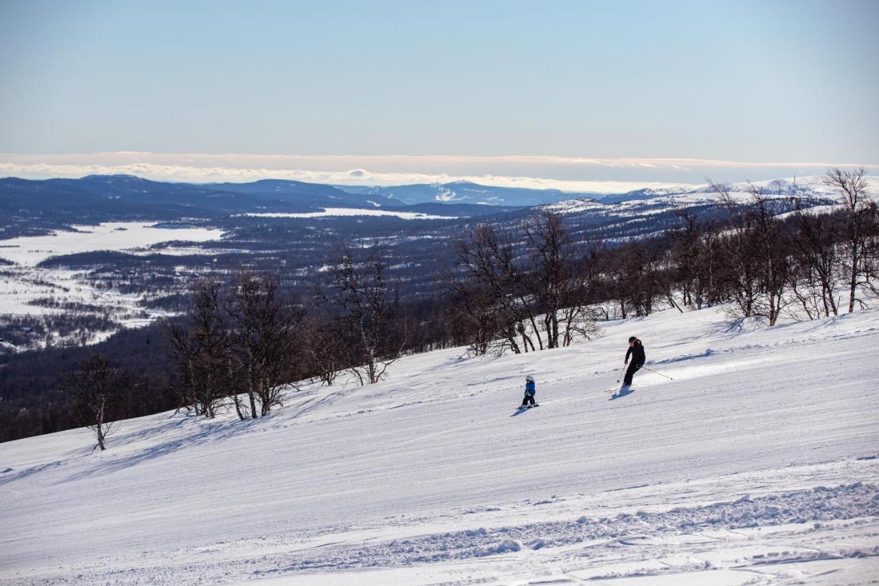 Ski Lodge Taenndalen Экстерьер фото