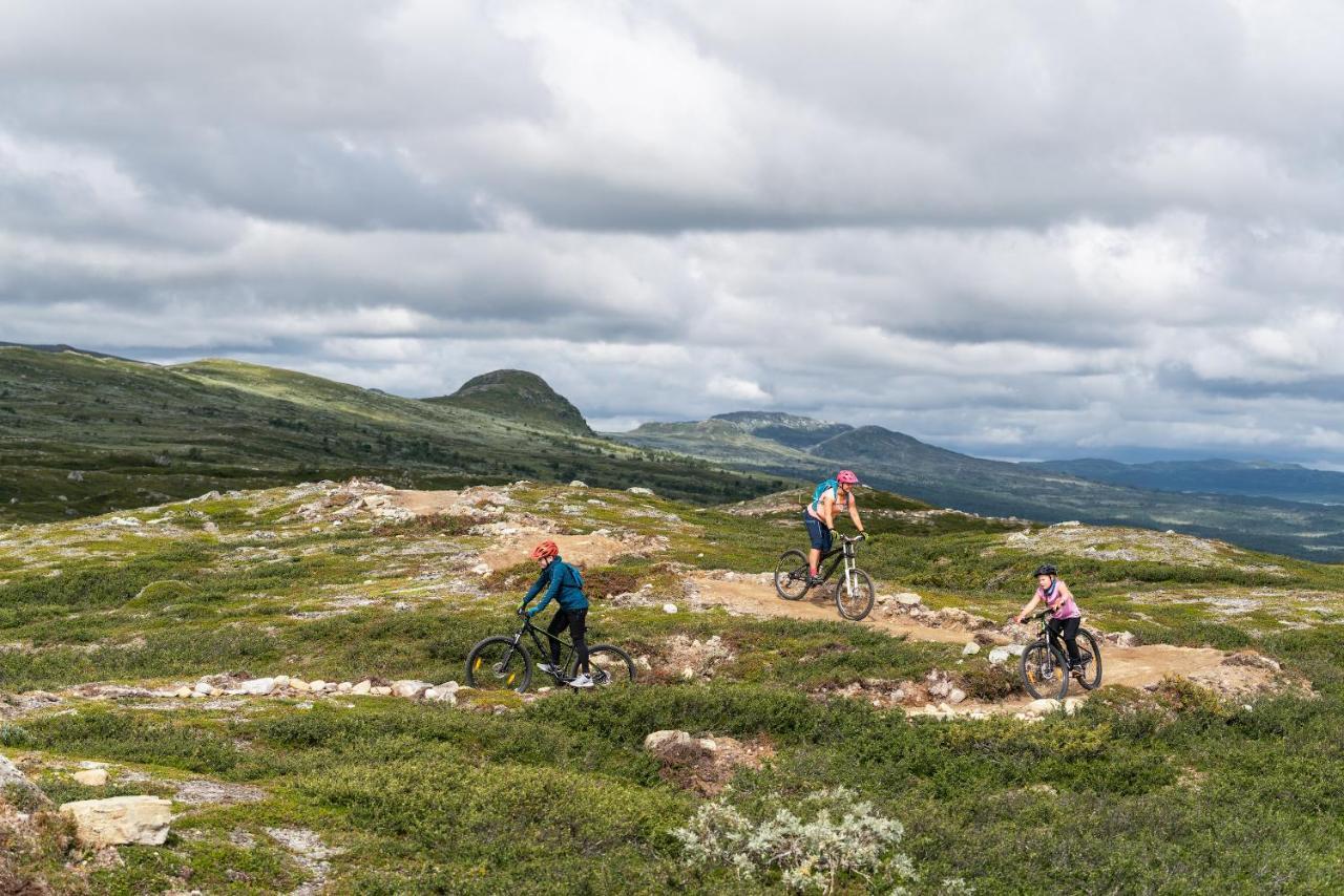 Ski Lodge Taenndalen Экстерьер фото